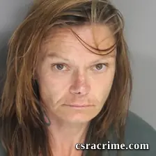 Jamie Lower booking photo