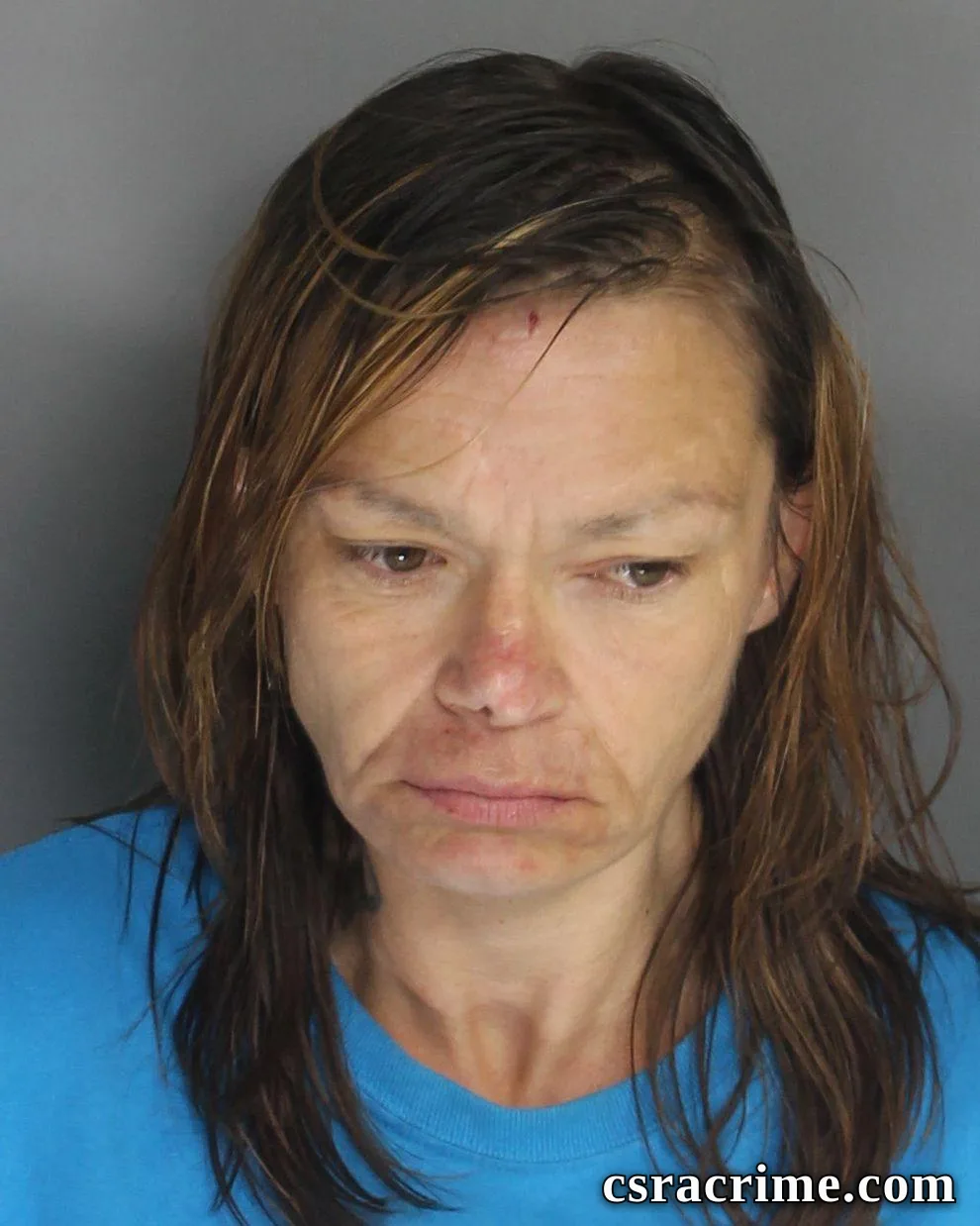 Jamie Lower booking photo