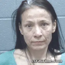 Jana Reeves booking photo