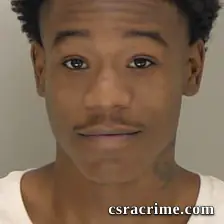 Janavian Leeks booking photo