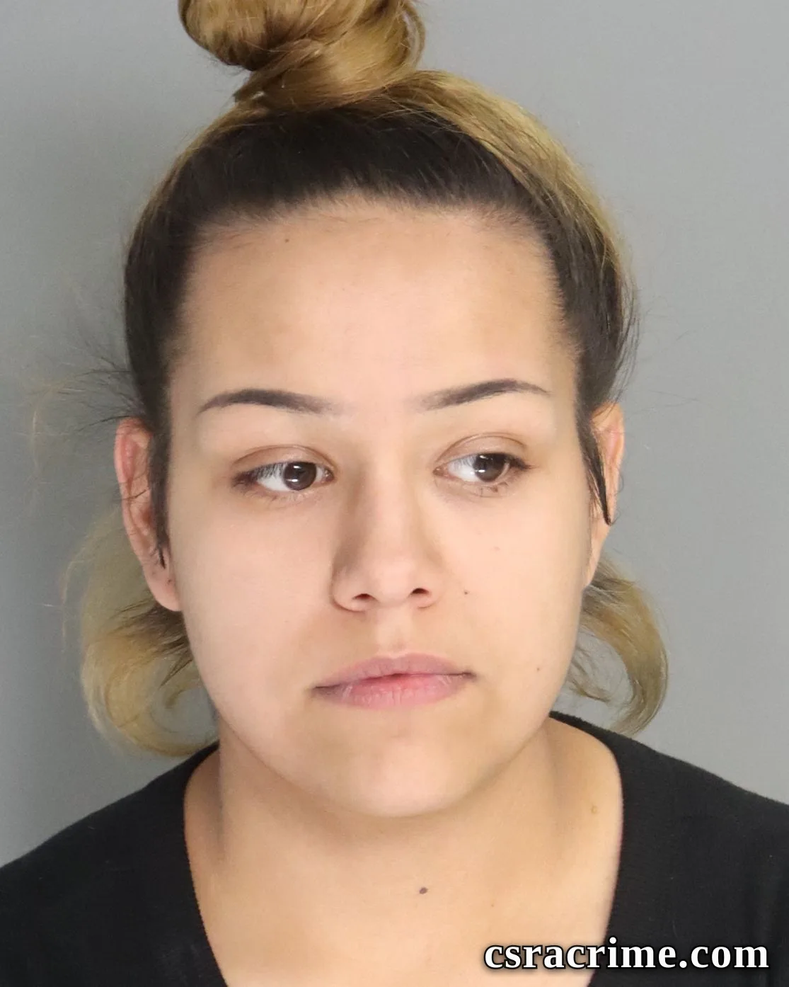 Janelle Santana booking photo