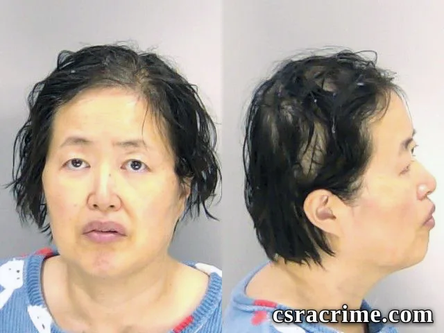 Janet Shim booking photo