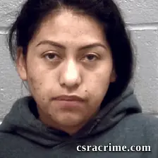 Janeth Perez-Gonzalez booking photo