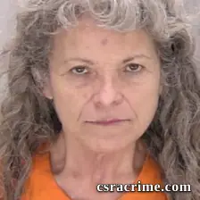 Janine Davenport Lowe booking photo