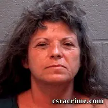 Janine Lowe booking photo