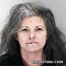 Janine Lowe booking photo