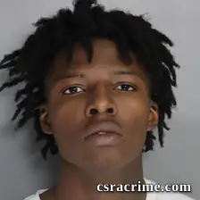 Jant'E Williams booking photo