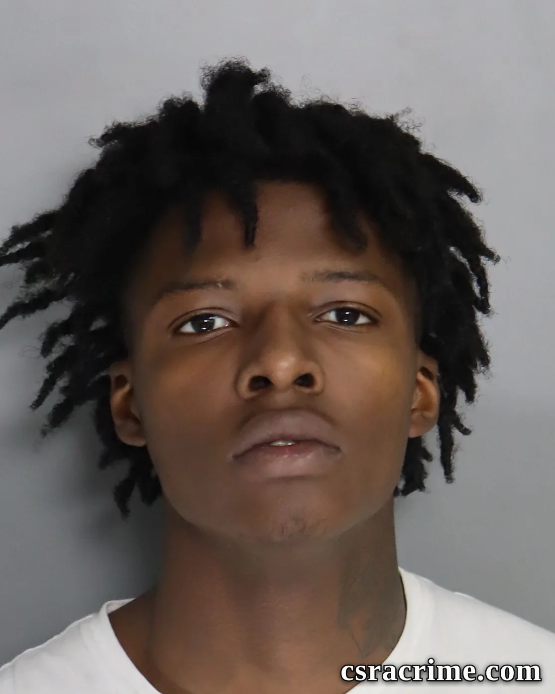 Jant'E Williams booking photo