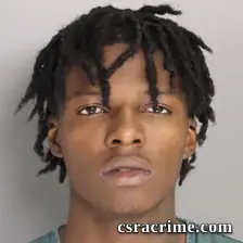 Jant'E Williams booking photo