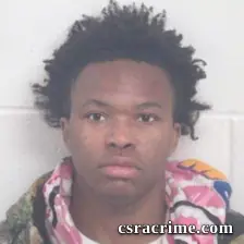 Jaryus Temon Johnson booking photo