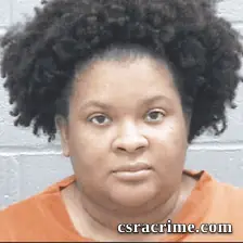 Jasmin Ellison booking photo
