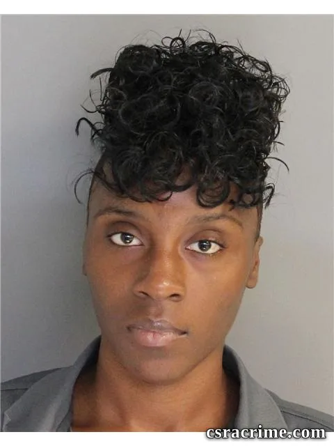 Jasmine Johnson booking photo
