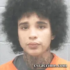 Jasmine Lee booking photo