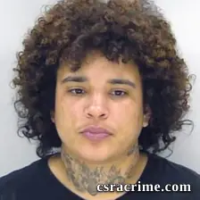 Jasmine Lee booking photo