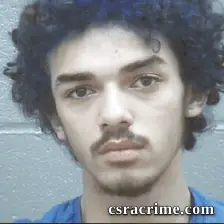Jayden Gibson booking photo