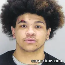 Jaydon Williams booking photo