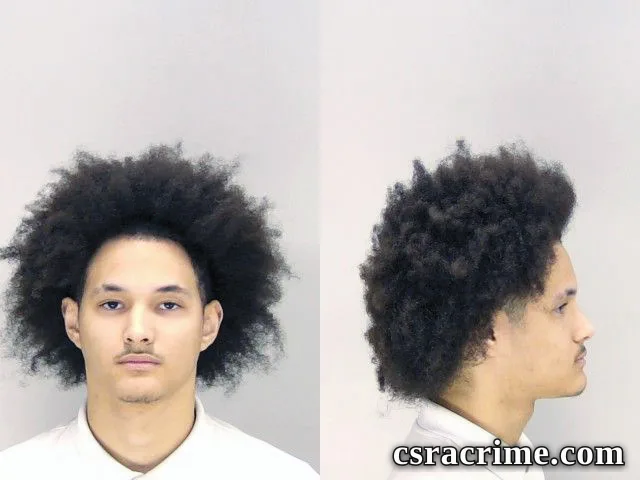 Jaylin Lamb booking photo