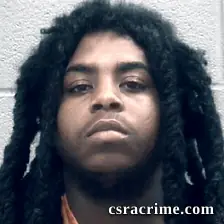 Jaylon Herrin booking photo