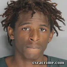 Jaylyn Danzy booking photo