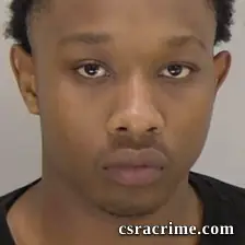 Jemaurea Deonte Johnson booking photo