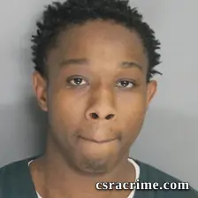 Jemaurea Johnson booking photo