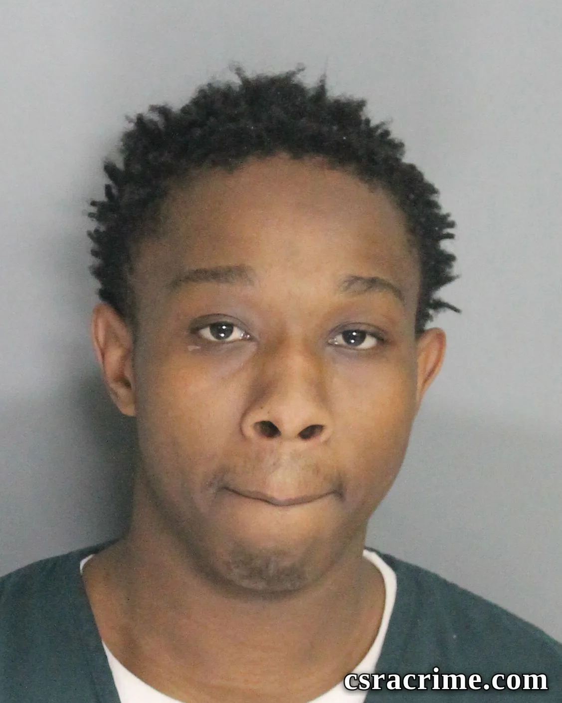 Jemaurea Johnson booking photo