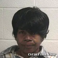 Jennie Bell Johnson booking photo