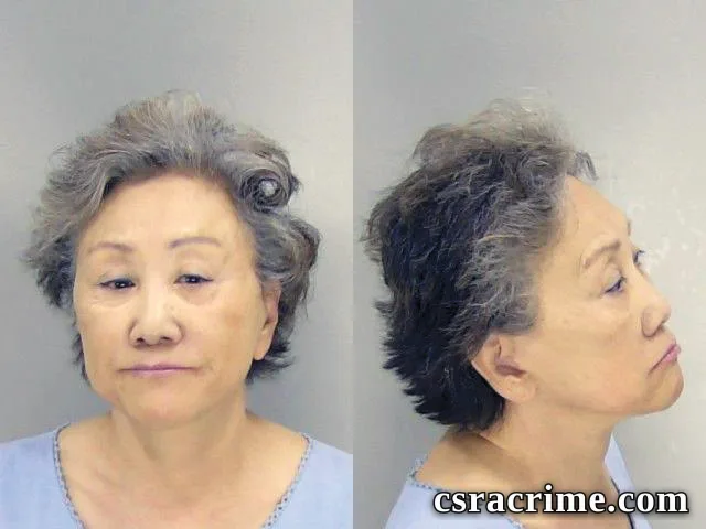 Jennie Hope booking photo