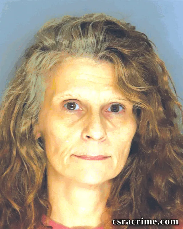 Jennifer Brewster booking photo