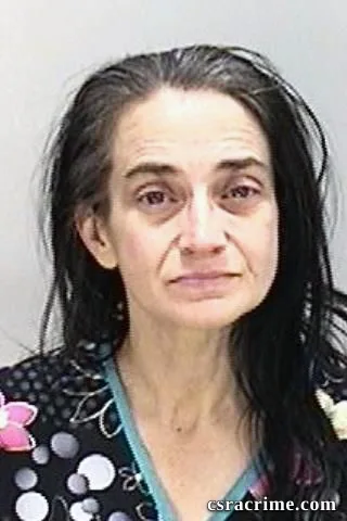 Jennifer Curtin booking photo