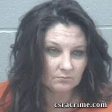 Jennifer Ellis booking photo