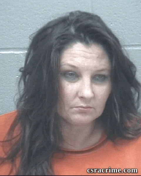 Jennifer Ellis booking photo