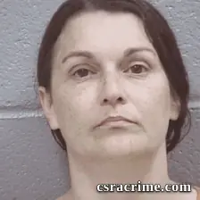 Jennifer Ervin booking photo