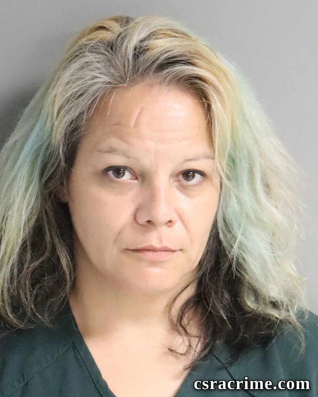 Jennifer Ferrell booking photo