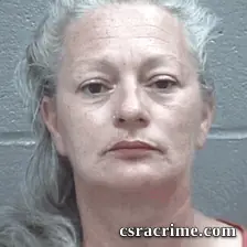 Jennifer Gibson booking photo
