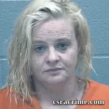 Jennifer Johnson booking photo