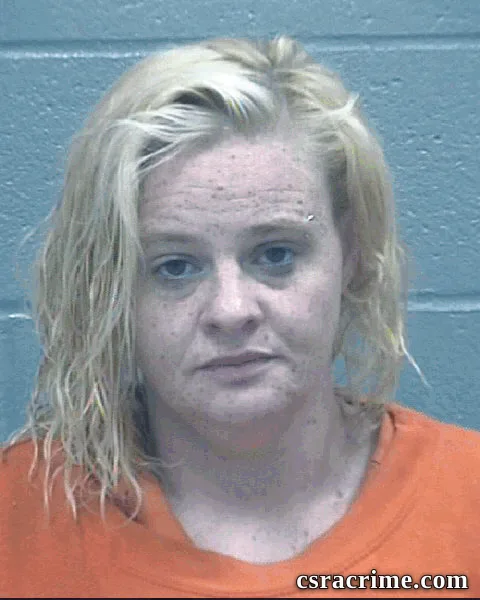 Jennifer Johnson booking photo