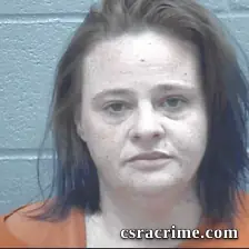 Jennifer Johnson booking photo