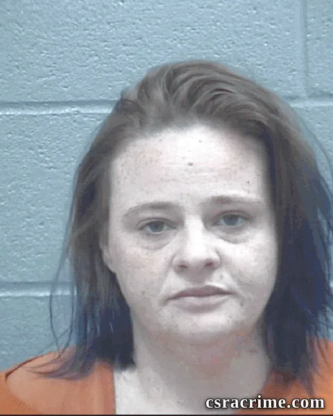 Jennifer Johnson booking photo