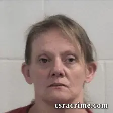 Jennifer Lee Brandt booking photo