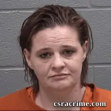 Jennifer Lynne Johnson booking photo