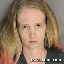 Jennifer Ortez booking photo