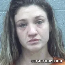 Jennifer Toole booking photo