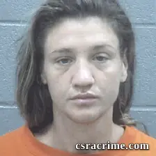 Jennifer Toole booking photo