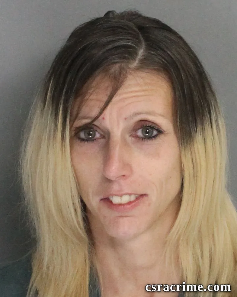 Jennifer Tullis booking photo