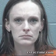 Jenny Wilcox booking photo
