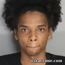 Jerell Newsome booking photo