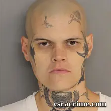 Jeremy Green booking photo
