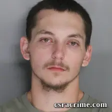 Jesse Cheeks booking photo