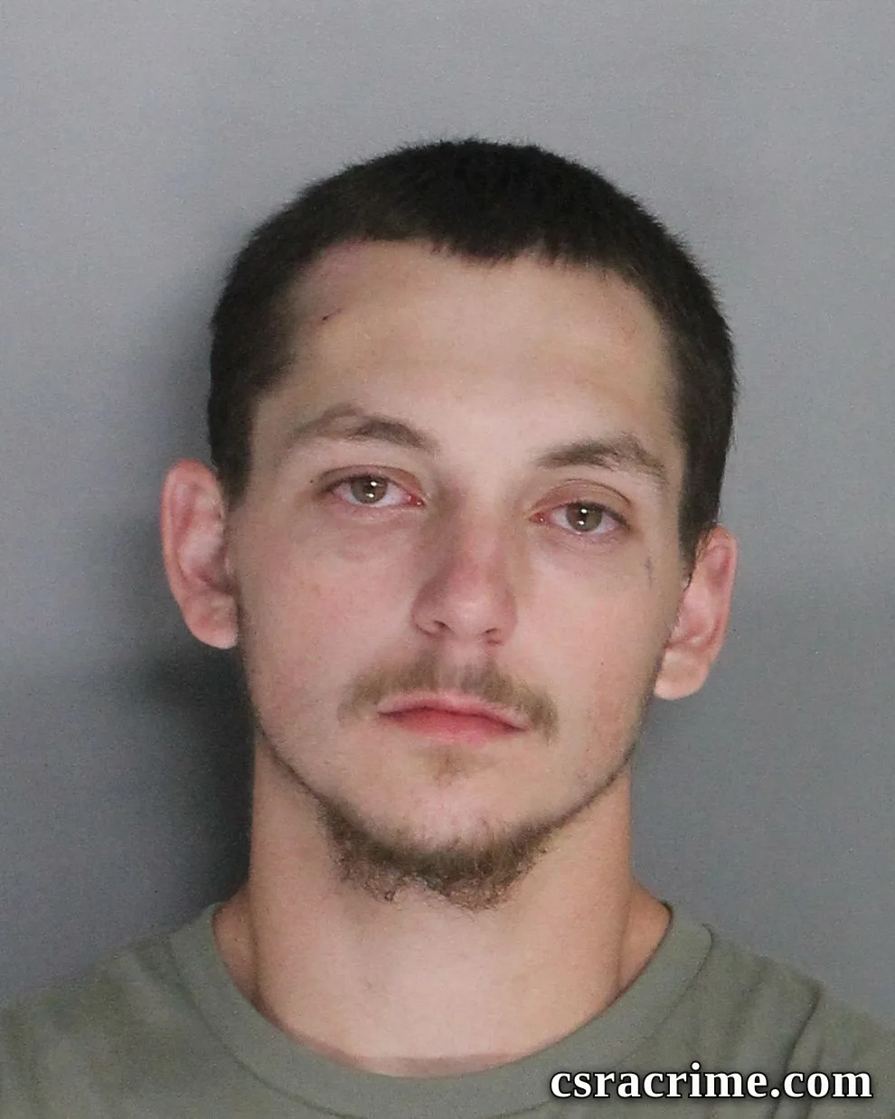 Jesse Cheeks booking photo